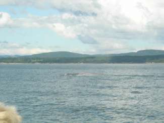 tadoussac 160.jpg
